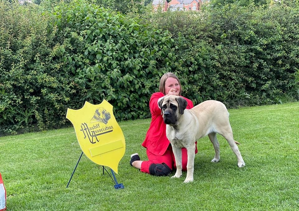 Blossom (Womlu The Devil in Disguise)