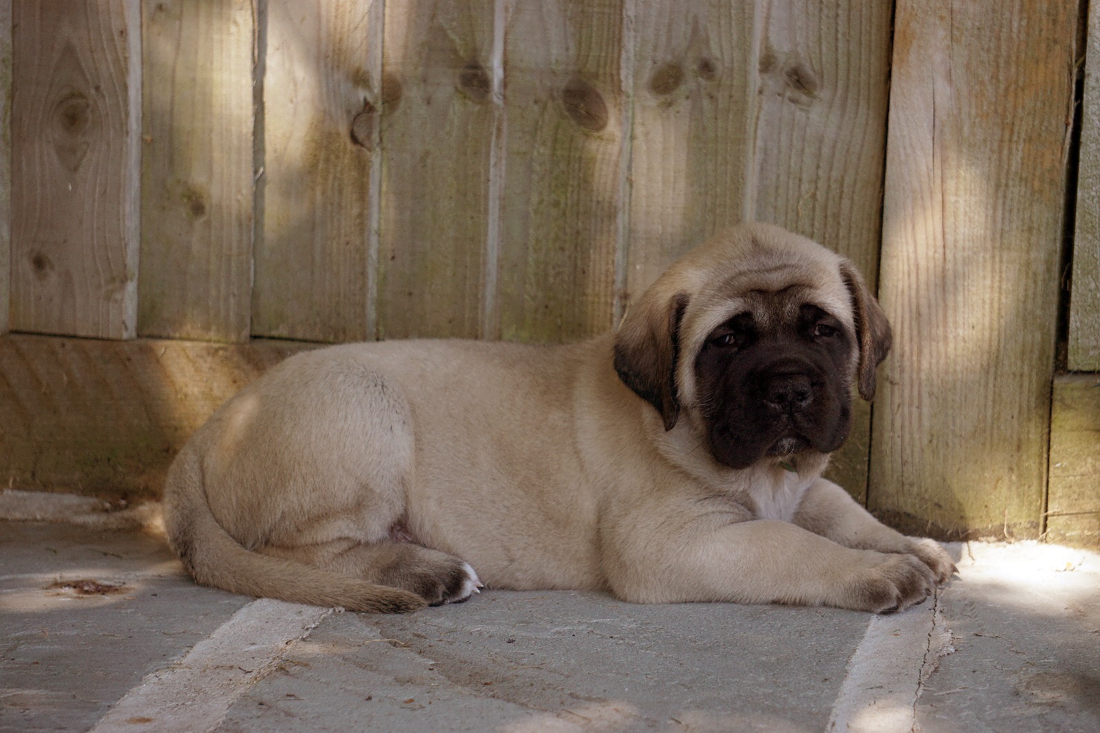 George looking proud and cozy
