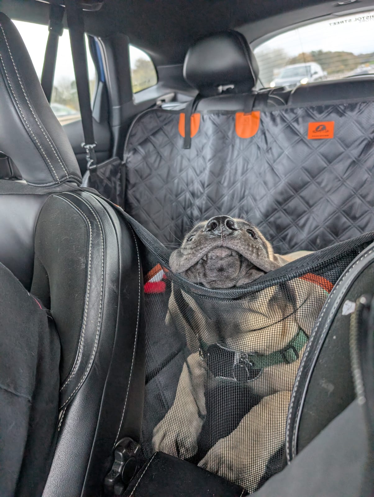 Car rides are tiring