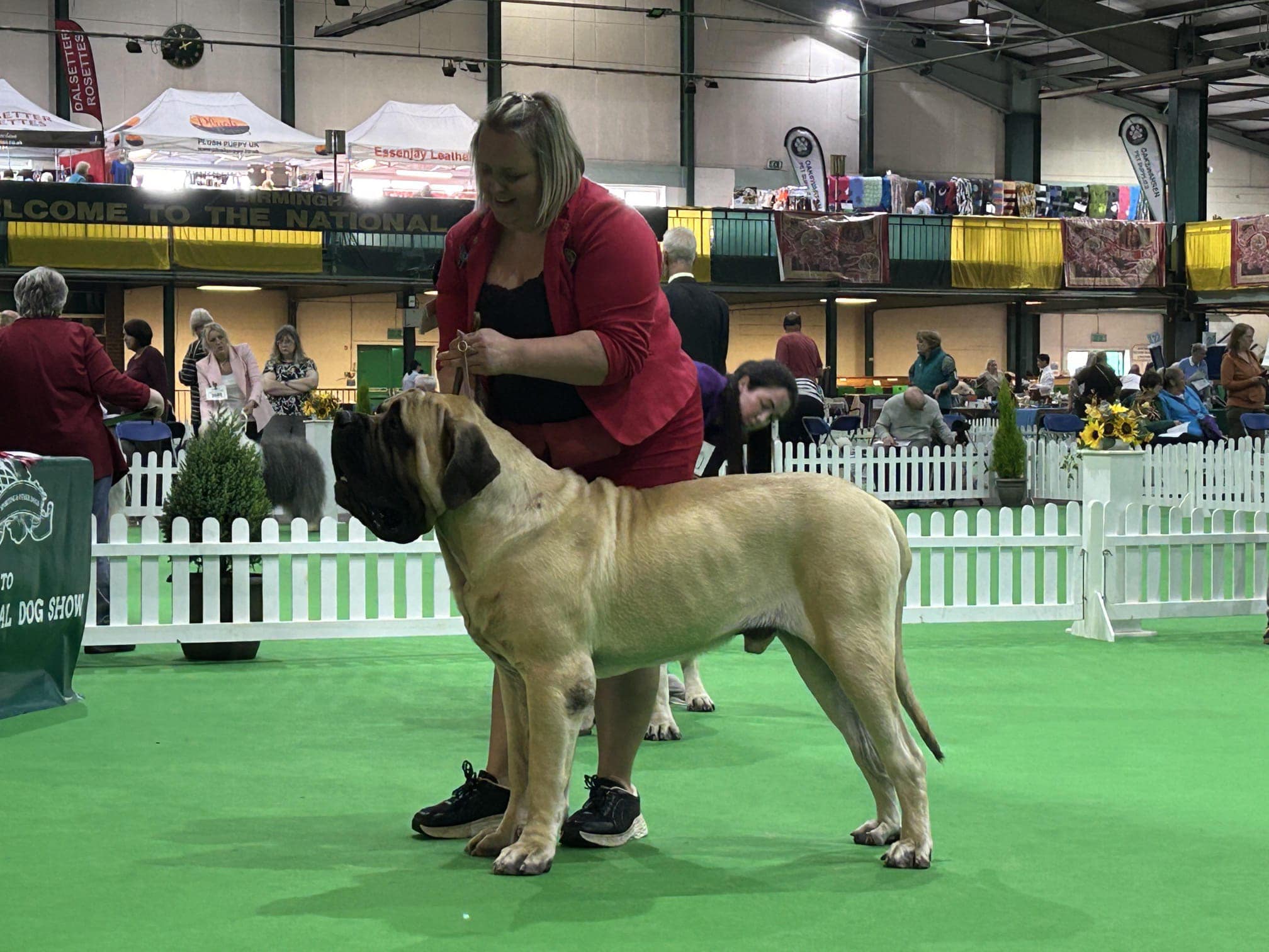 Spud (Womlu Spudalicious)